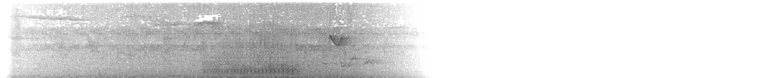 datel indočínský x bambusový (hybrid) - ML611960398