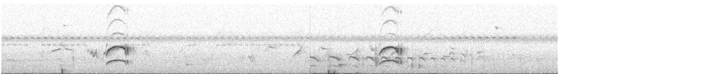 Schwalbentyrann (bellicosa/pallidior) - ML611983806