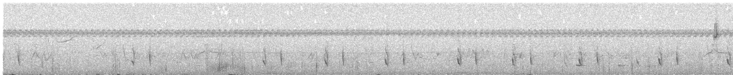 Marsh Antwren - ML611987108