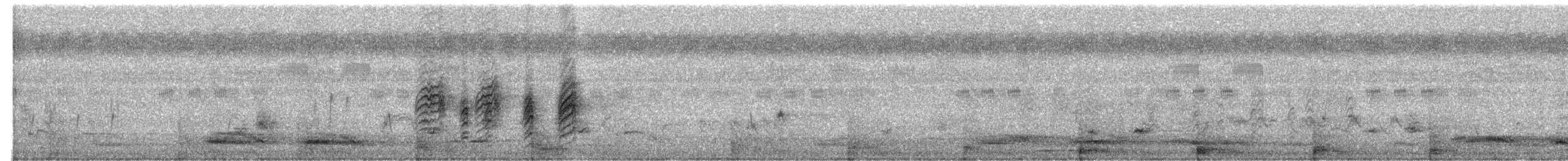 Ashy Woodswallow - ML611989981