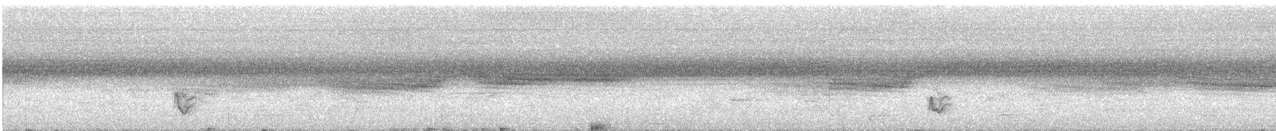 Maun Göğüslü Çütre - ML611993039