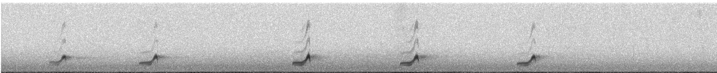 Eurasian Nightjar - ML61199471