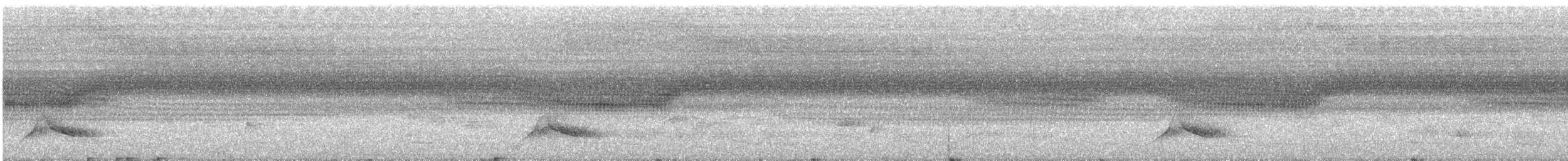 blåvingelattertrost - ML611999705