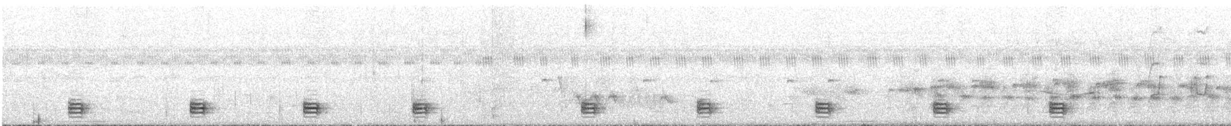 botocudomaurfugl - ML611999840