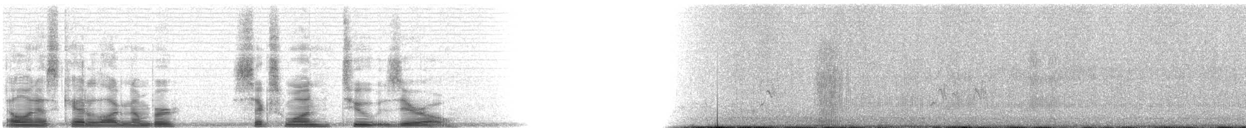 Beautiful Hummingbird - ML6120