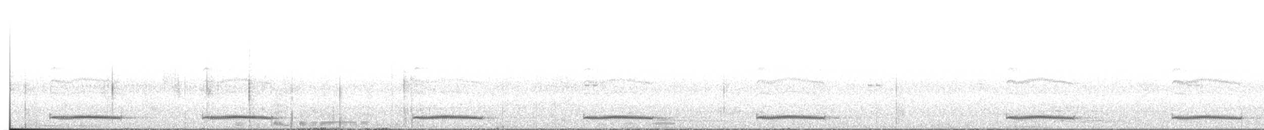 Kubanachtschwalbe - ML612000057
