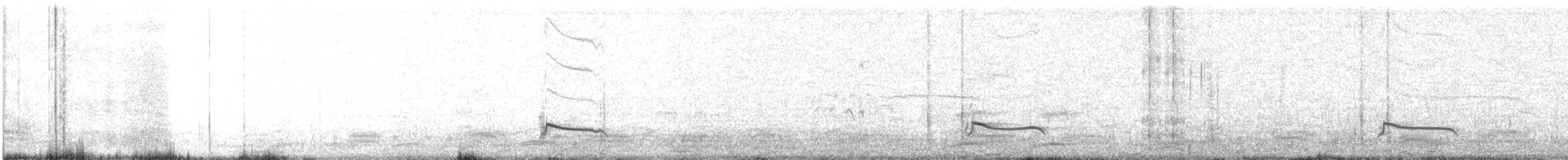 Black-bellied Plover - ML612000448