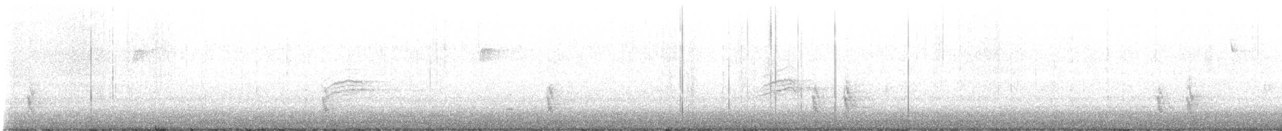 Дрізд-короткодзьоб плямистоволий - ML612000474