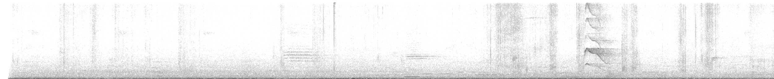 褐耳鷹 - ML612001315