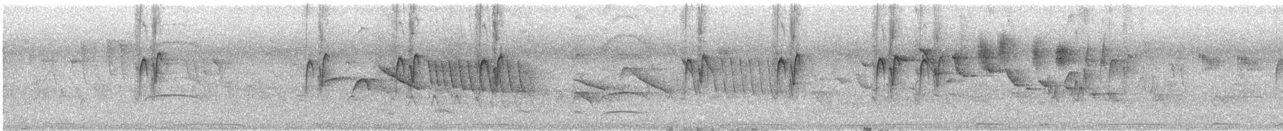 Деревенская ласточка (erythrogaster) - ML612001356