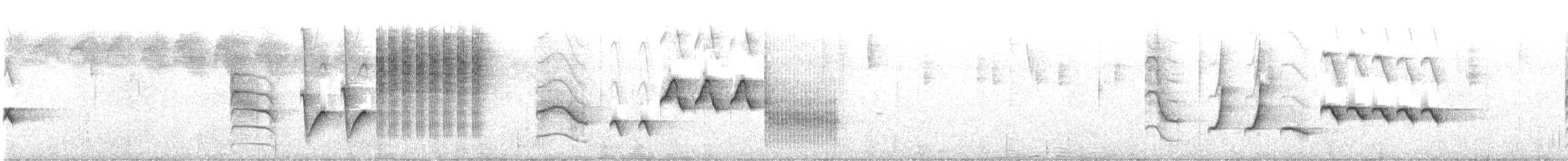 Troglodyte de Zapata - ML612002005