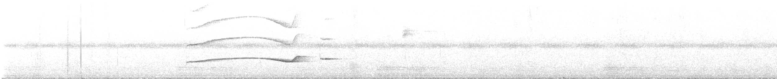 キタツグミマイコドリ - ML612011161