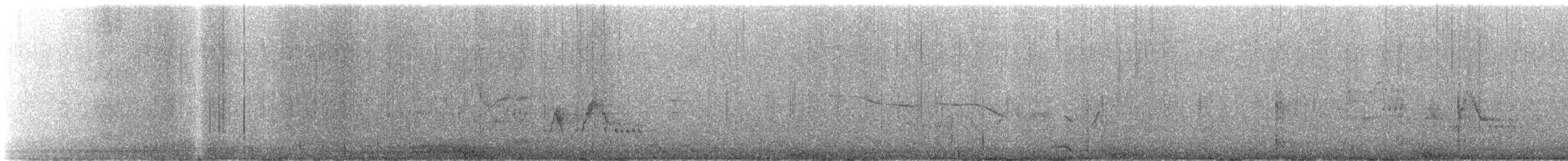Gray-cheeked Thrush - ML612011539