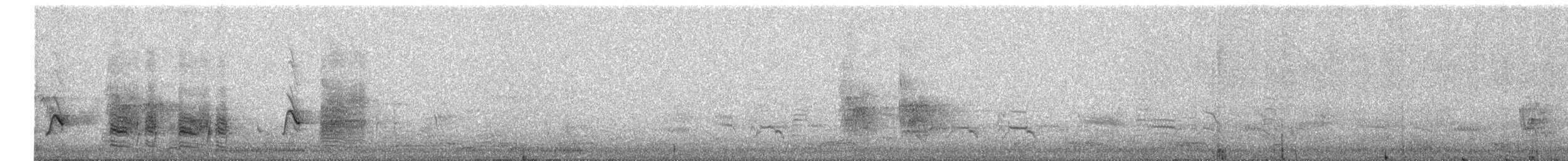 svartryggvarsler (collaris gr.) - ML612011763