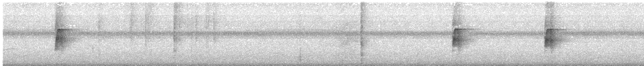 Sırtı Pullu Karıncakuşu - ML612013059
