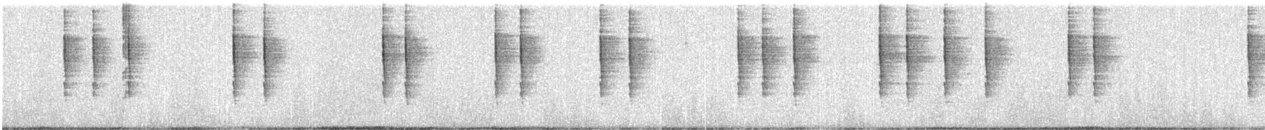Troglodyte de Baird - ML612016115