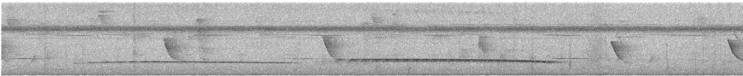 Tropfenflügel-Ameisenfänger - ML612019761