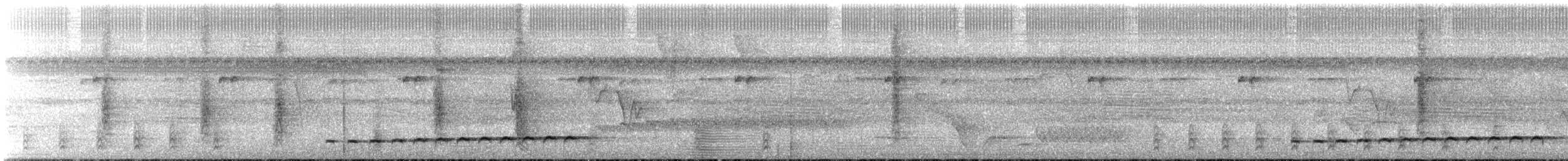 Turuncu Karınlı Yerçavuşu - ML612022175