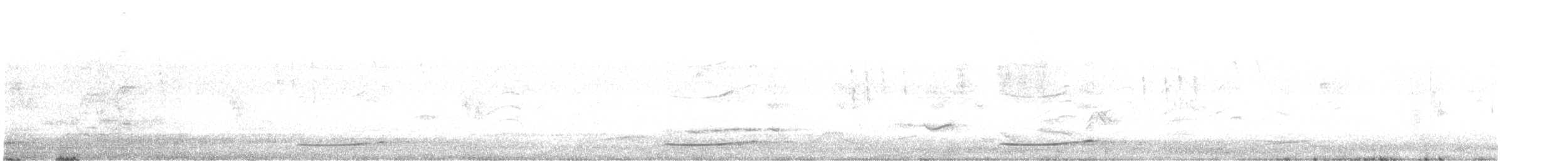 Coucou bleuté - ML612022961