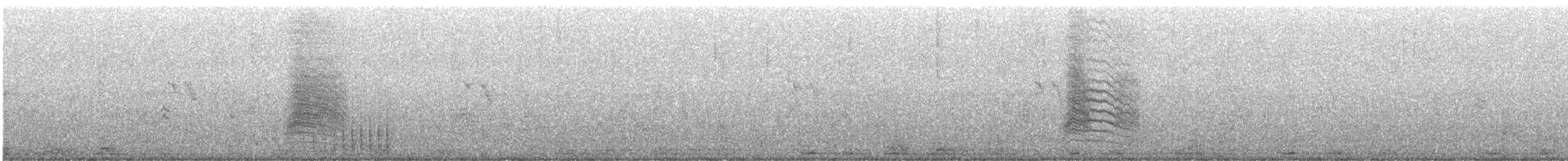 Пересмішник сірий - ML612026988