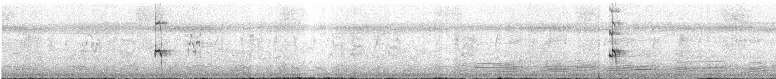 Полосатый трескун - ML612027052