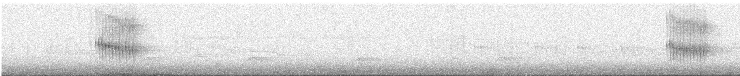 Stachelschwanzschlüpfer - ML612027142