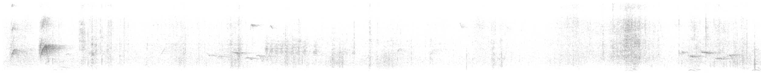 Синехвостка - ML612028433
