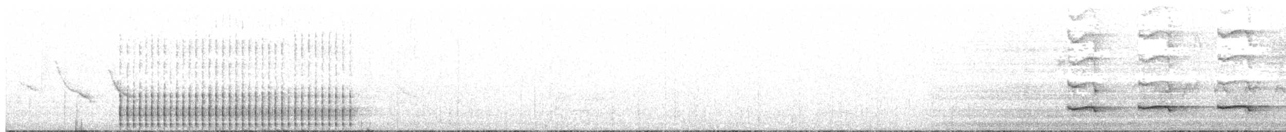 Weißbrauenspecht - ML612033280