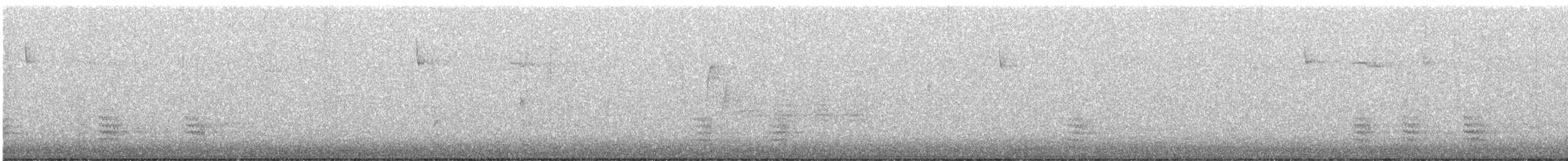 Weißbrustkleiber - ML612035318