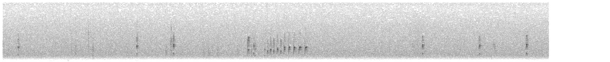 Schmalschnabel-Königstyrann - ML612036422