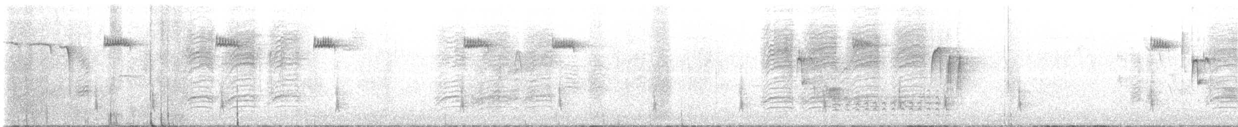 Дрізд-короткодзьоб плямистоволий - ML612037138