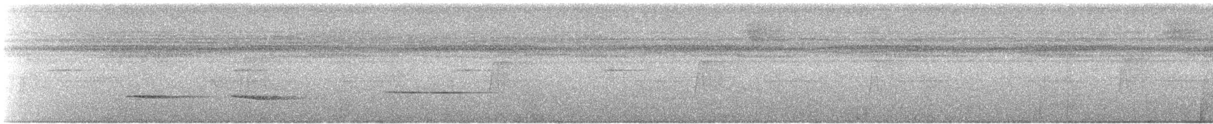 Troglodyte siffleur - ML612039569