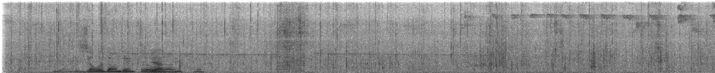 Zeledon's Antbird - ML612039663