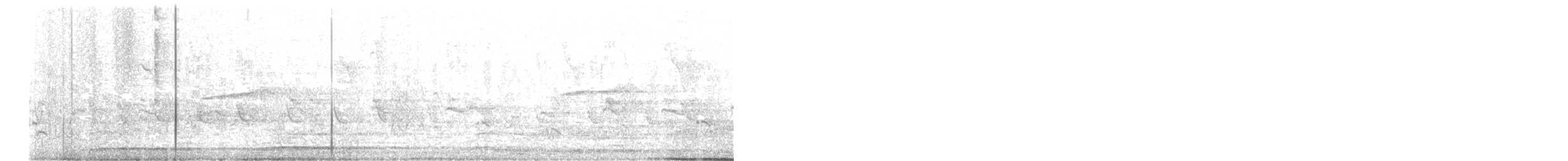 Cava Islıkçı Ördeği - ML612042636