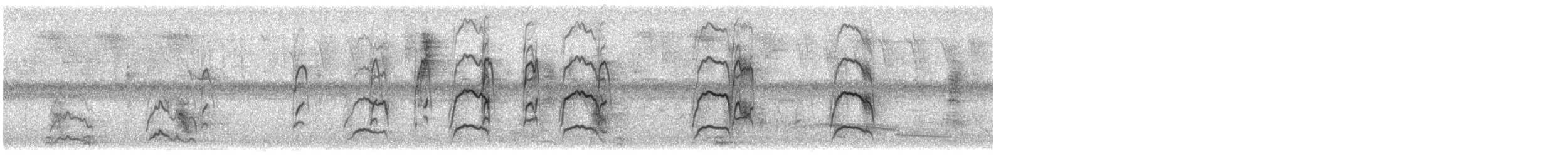 Halsbandsegler - ML612045791