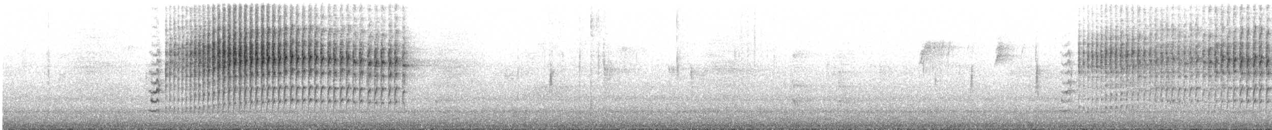 Каролинский крапивник - ML612052946