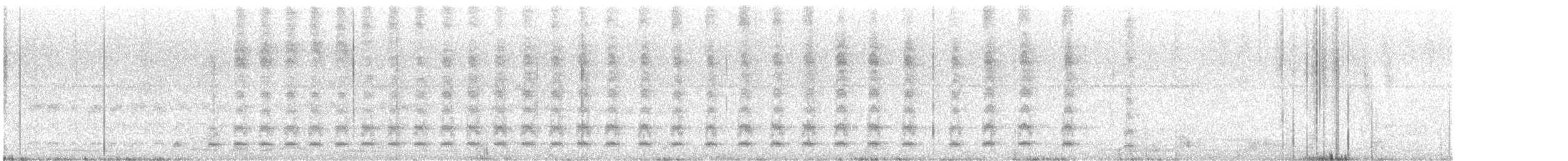 Chotacabras Cubano (insulaepinorum) - ML612054236