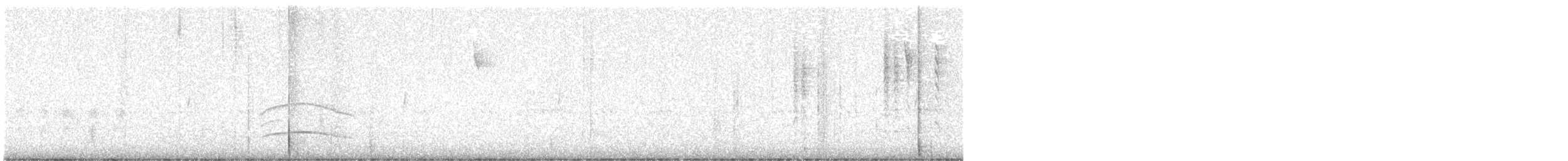 mørkhettetyrann (lawrenceii gr.) - ML612055669