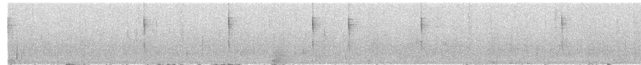 Troglodyte de Baird - ML612057361