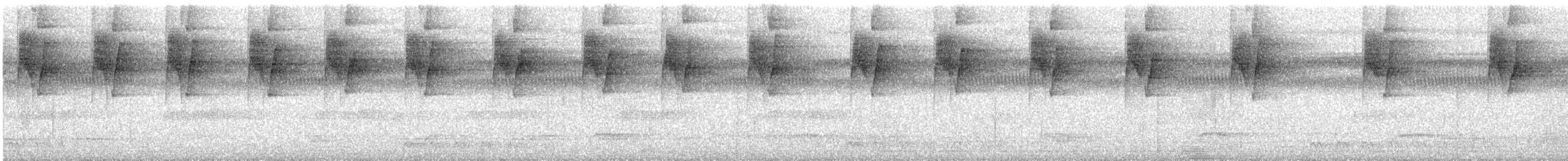 Большеклювый колибри-отшельник - ML612058289