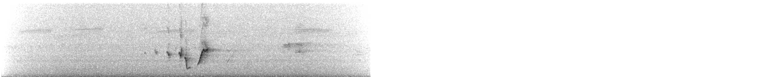 hvitsmykkehonningeter - ML612062123