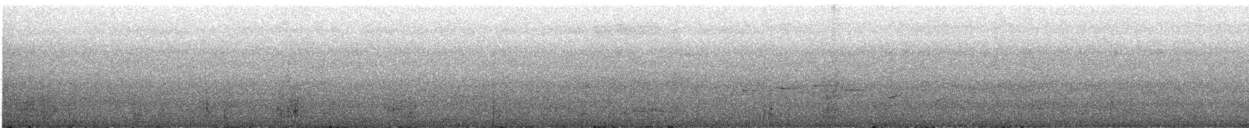 Weißstirn-Fächerschwanz - ML612062305