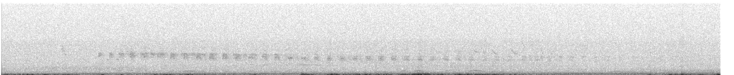 Râle tapageur (groupe caribaeus) - ML612064698