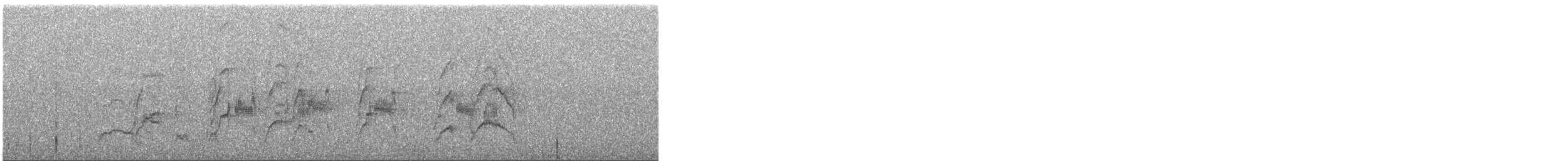 Halsbandsegler - ML612064907