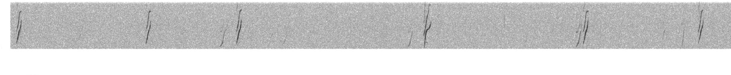 Белокрылая диука - ML612065771