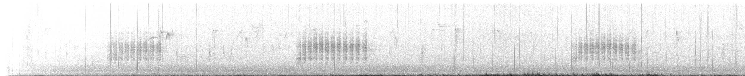 Troglodyte familier (groupe aedon) - ML612071610