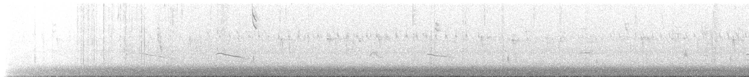 Connecticut Warbler - ML612072309