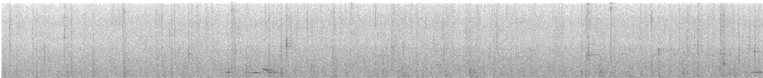 Тимелія-криводзьоб велика - ML612073669