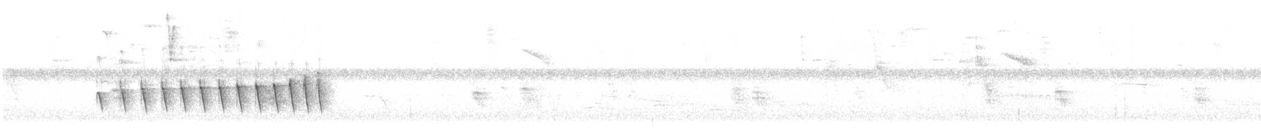 Chocó-Strichelameisenschlüpfer - ML612078187
