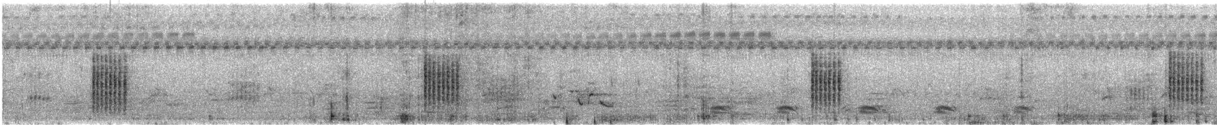 old world warbler sp. - ML612079470
